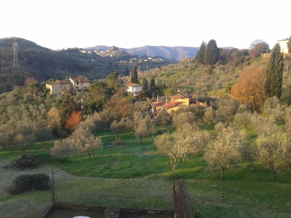 podere Sanlorenzo Carmignano 0*,  Italia