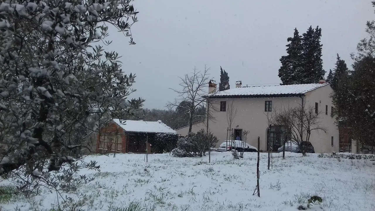 podere Sanlorenzo Carmignano