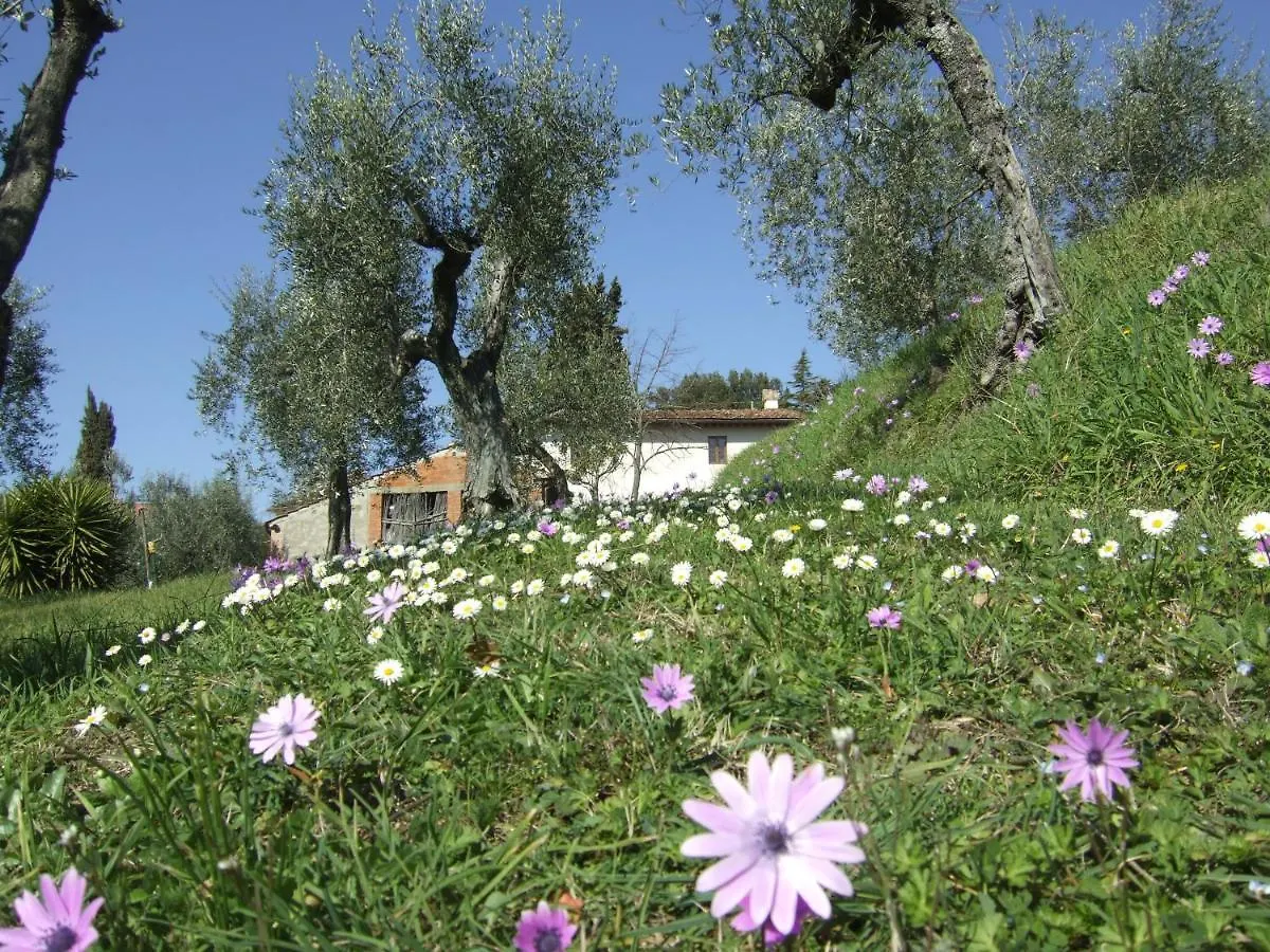 Bed & Breakfast podere Sanlorenzo Carmignano Italia