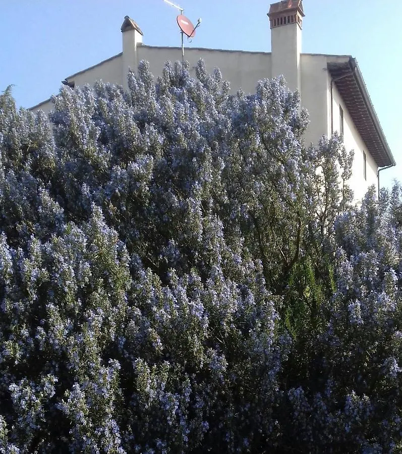Podere Sanlorenzo Carmignano Bed & Breakfast